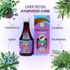 Punarnava-DS Liver Syrup - Image 2